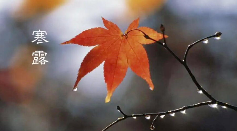 寒露時節！金環電器提醒大家要注意的事項